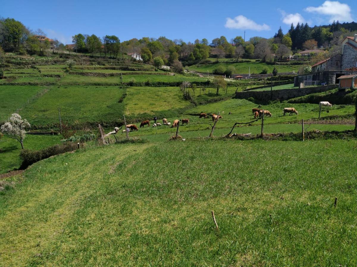 Pe Na Aldeia Villa Outeiro  Exteriör bild