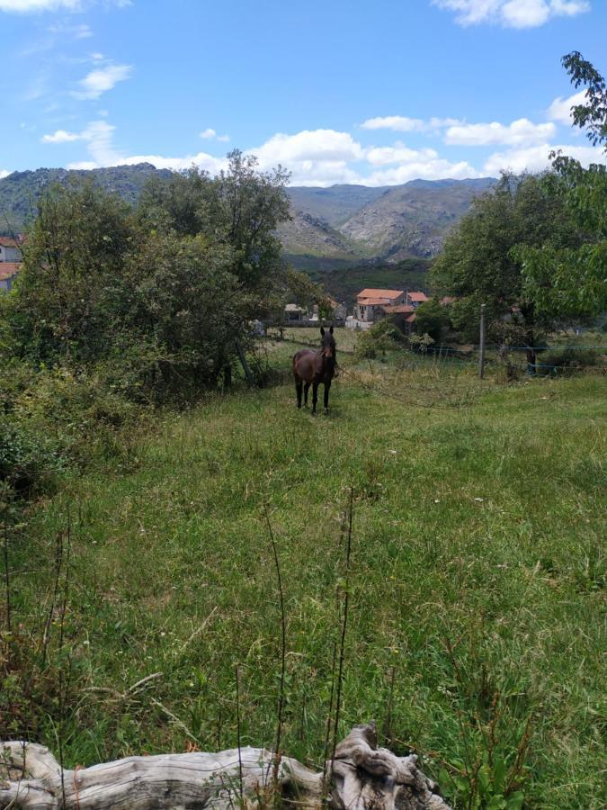 Pe Na Aldeia Villa Outeiro  Exteriör bild